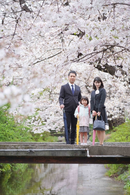 桜の開花宣言について